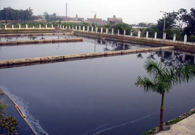 công nghệ xử lý nước thải y tế bằng hồ nguyên sinh
